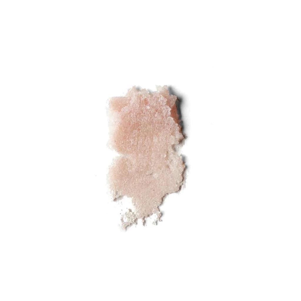 Organic Hydrating Rose Lip Polish & Scrub - 1 oz - elliparr