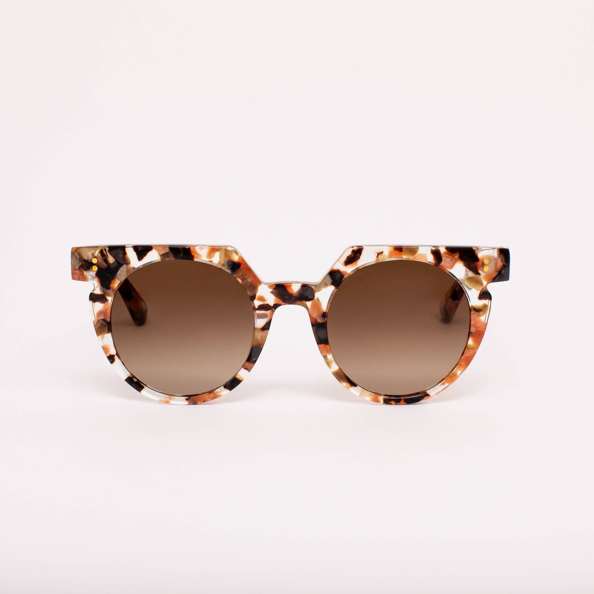SARDINE - Aster - Terra Fawna Tortoise Shell Sunglasses - elliparr
